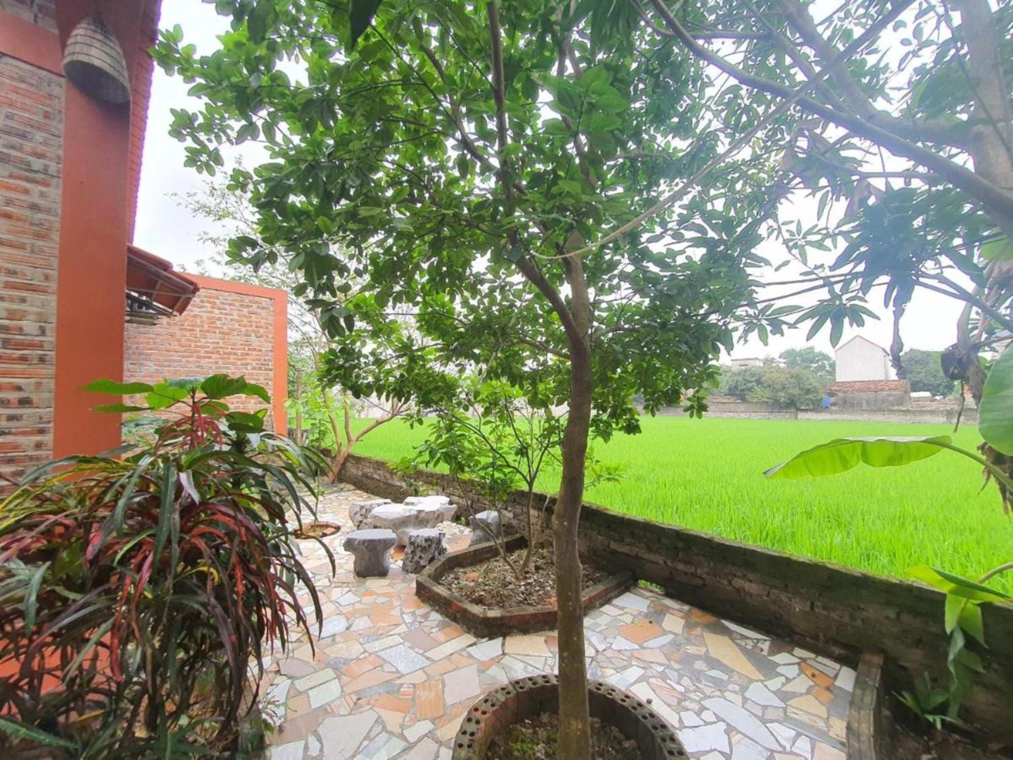 Trang An Garden Bungalow Ninh Bình Ngoại thất bức ảnh