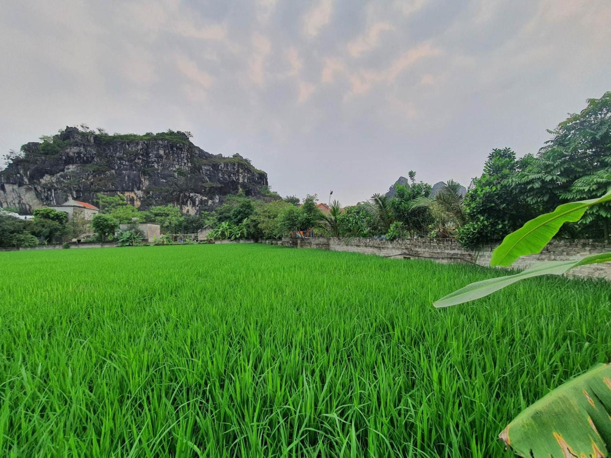 Trang An Garden Bungalow Ninh Bình Ngoại thất bức ảnh